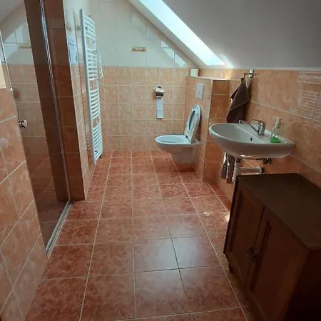 Apartment Kubatovna Chotebor